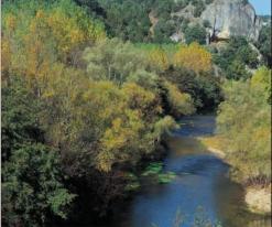 Rio Arlanza Rio Arlanza